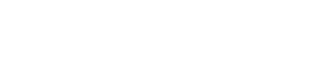 شركة التطوير البرونزي